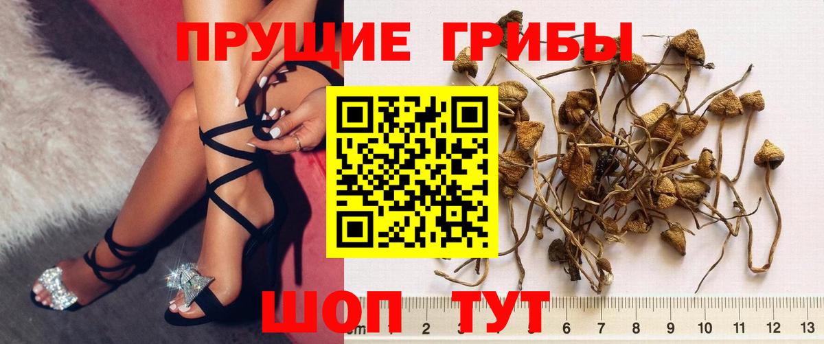 Галлюциногенные грибы прущие грибы  Вход с VPN  Нальчик 