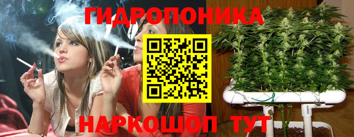 Бошки Шишки SATIVA & INDICA  Вход с VPN  Конопля гибрид  Канабис Ganja  Нальчик  Марихуана гибрид 